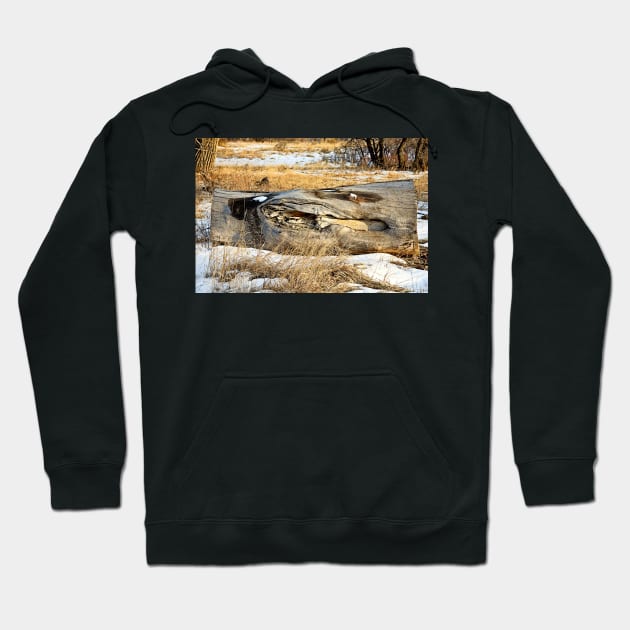 Cherry Creek Winter Study 3 Hoodie by bobmeyers